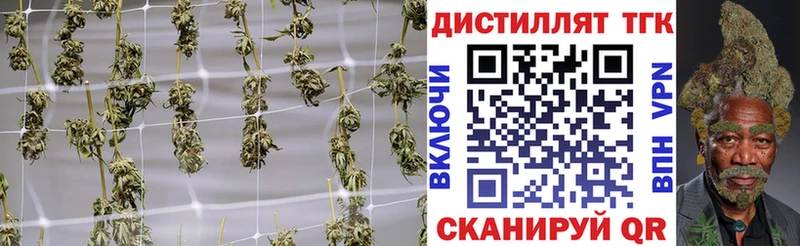 закладка Печоры Дистиллят ТГК жижа