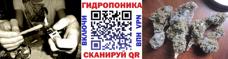 Шишки марихуана семена  где найти   Печоры 